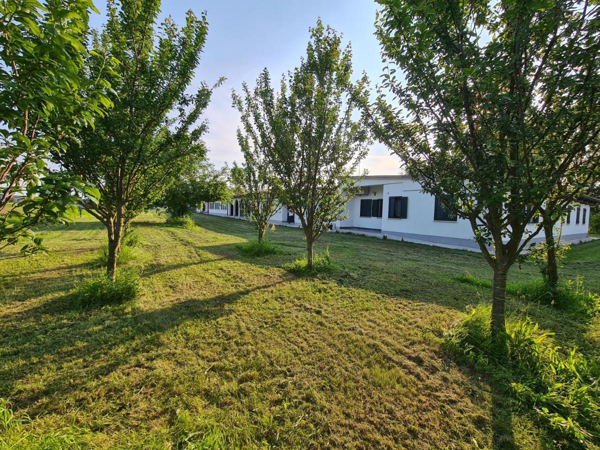 Villa Agriturismo Ca Novak Venezia Spinea Exterior foto