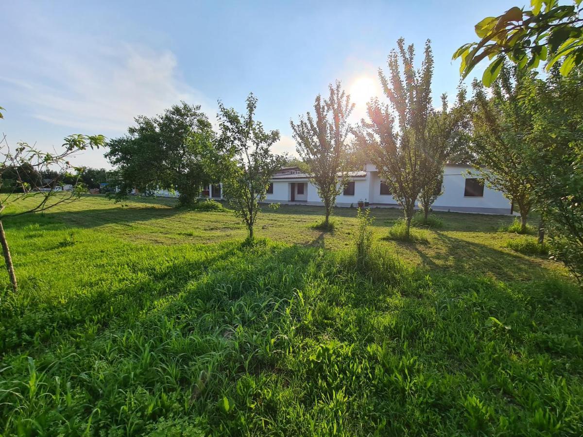 Villa Agriturismo Ca Novak Venezia Spinea Exterior foto